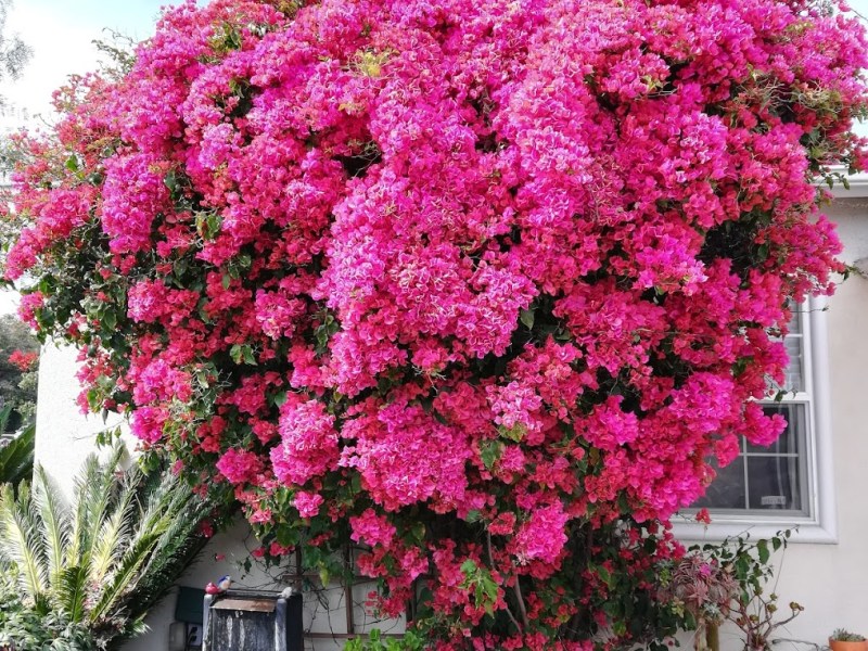 Why Join Impactful&nbsp;Revenue?