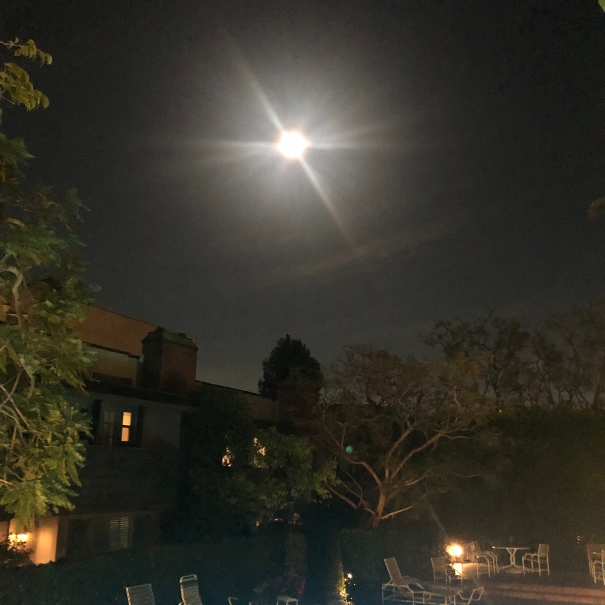 July Full Moonsletter