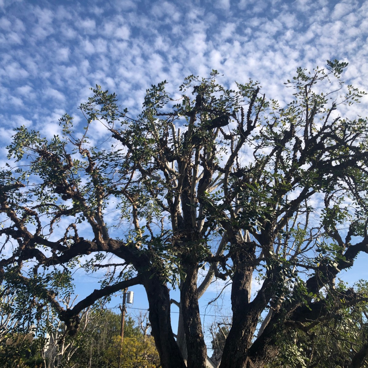 Reiki Attunements & Reiki&nbsp;Reset