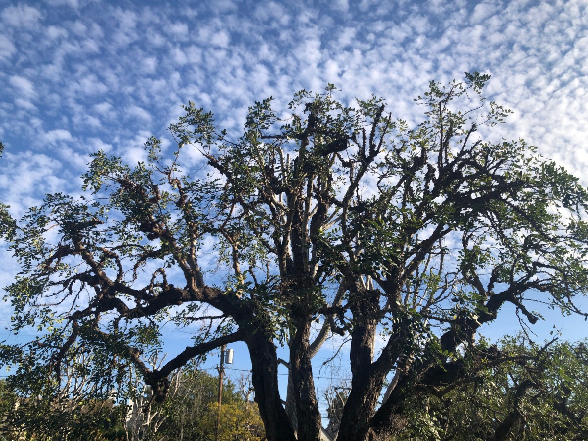 Reiki Attunements & Reiki&nbsp;Reset