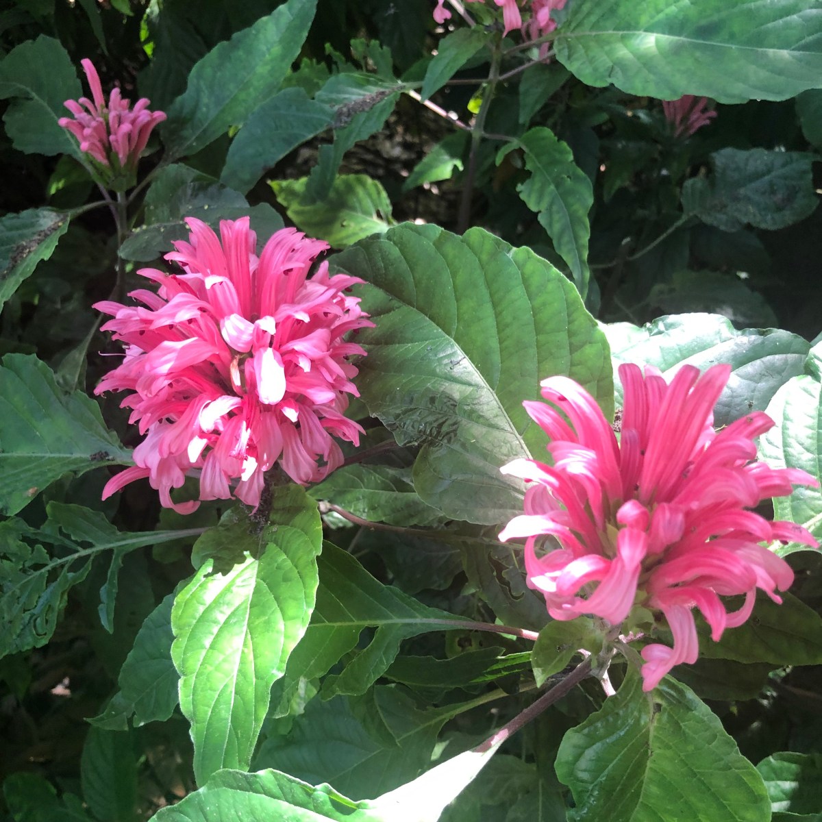 May Moon 2025&nbsp;Recap