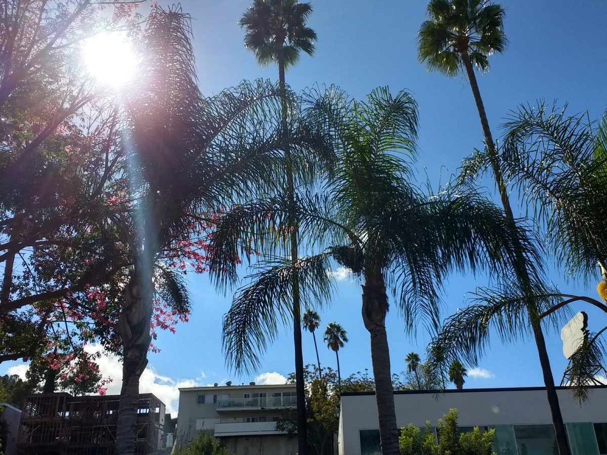 New Moonsletter – July&nbsp;2025