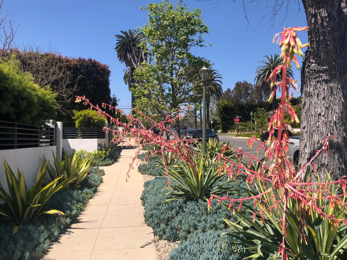 For the First Time Ever… Reiki&nbsp;Attunements