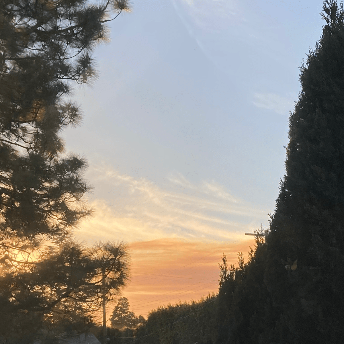 Lunar Reiki – August Full Moon&nbsp;2025