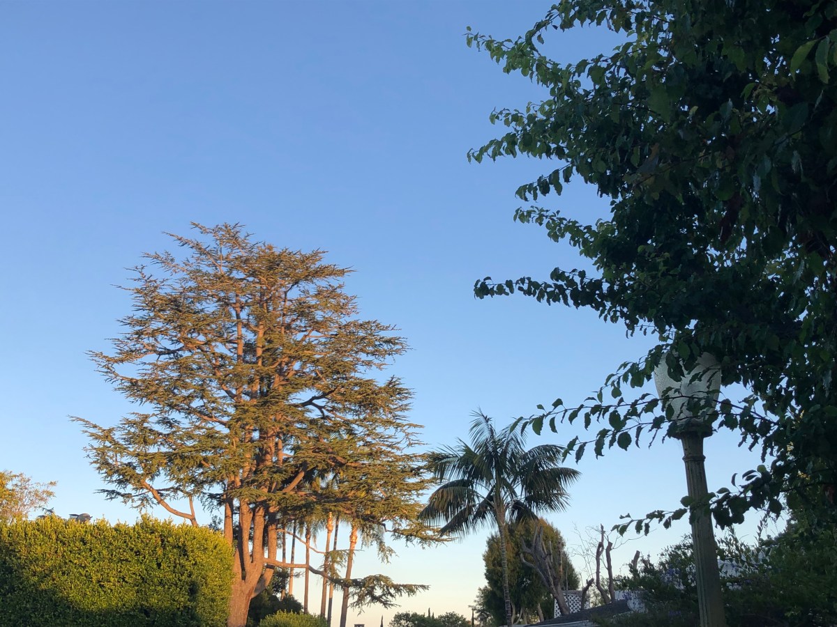 Weeks – August&nbsp;2025