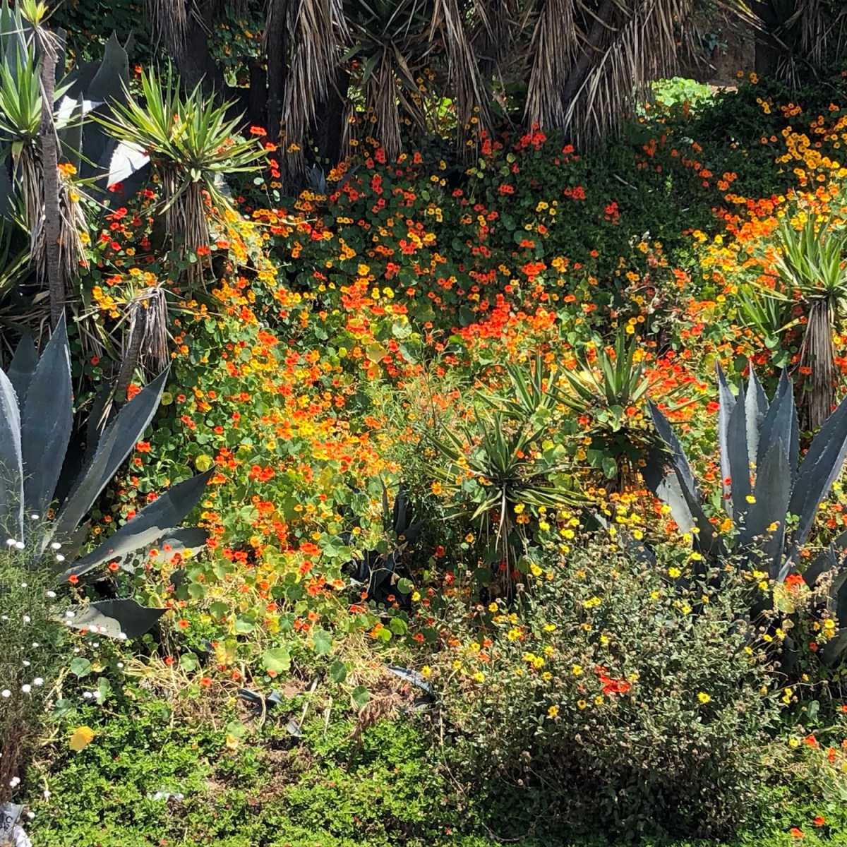 Excuse our broken&nbsp;timeline…