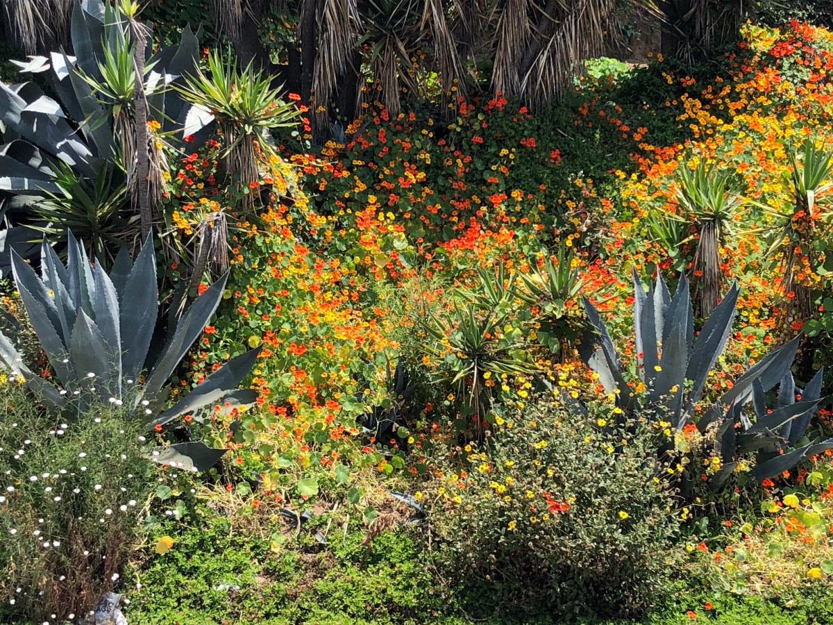 Excuse our broken&nbsp;timeline…