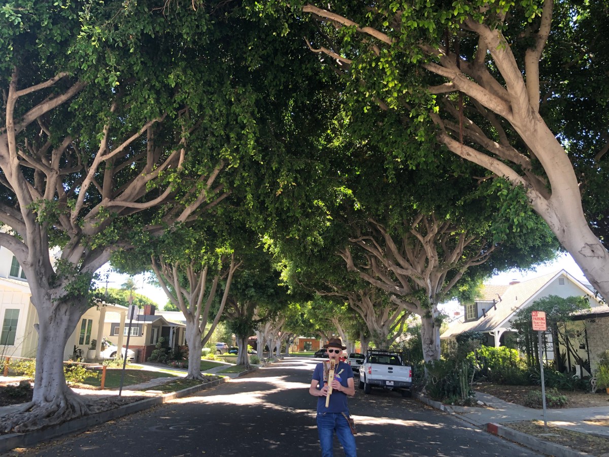 Full Moonsletter – Aug&nbsp;2025