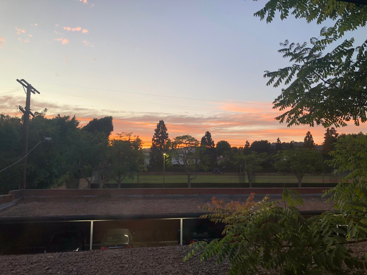 Lunar Reiki – August Full Moon&nbsp;2025