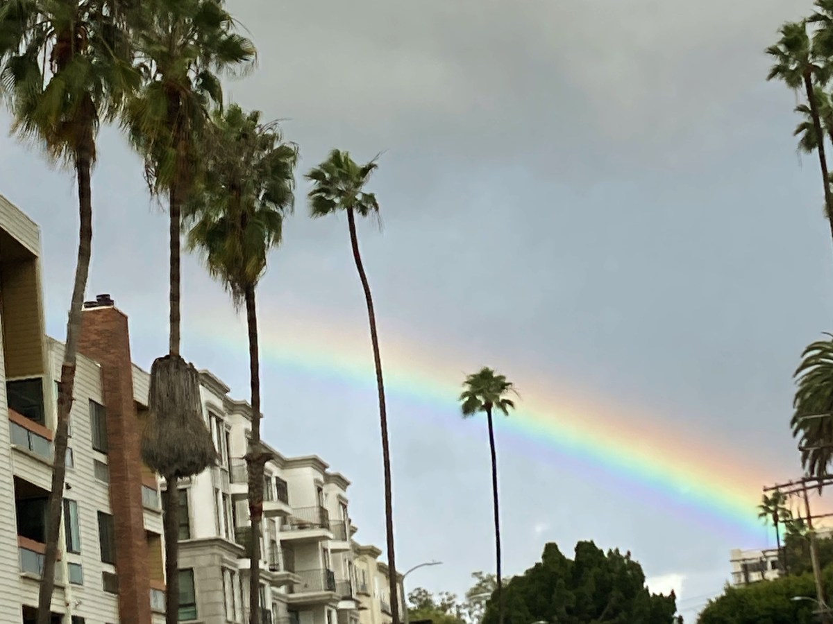 New Crow Moonsletter – Feb&nbsp;2026