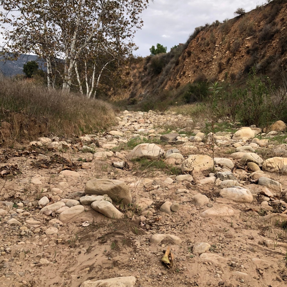 Snow Crone Moonsletter – Feb&nbsp;2026