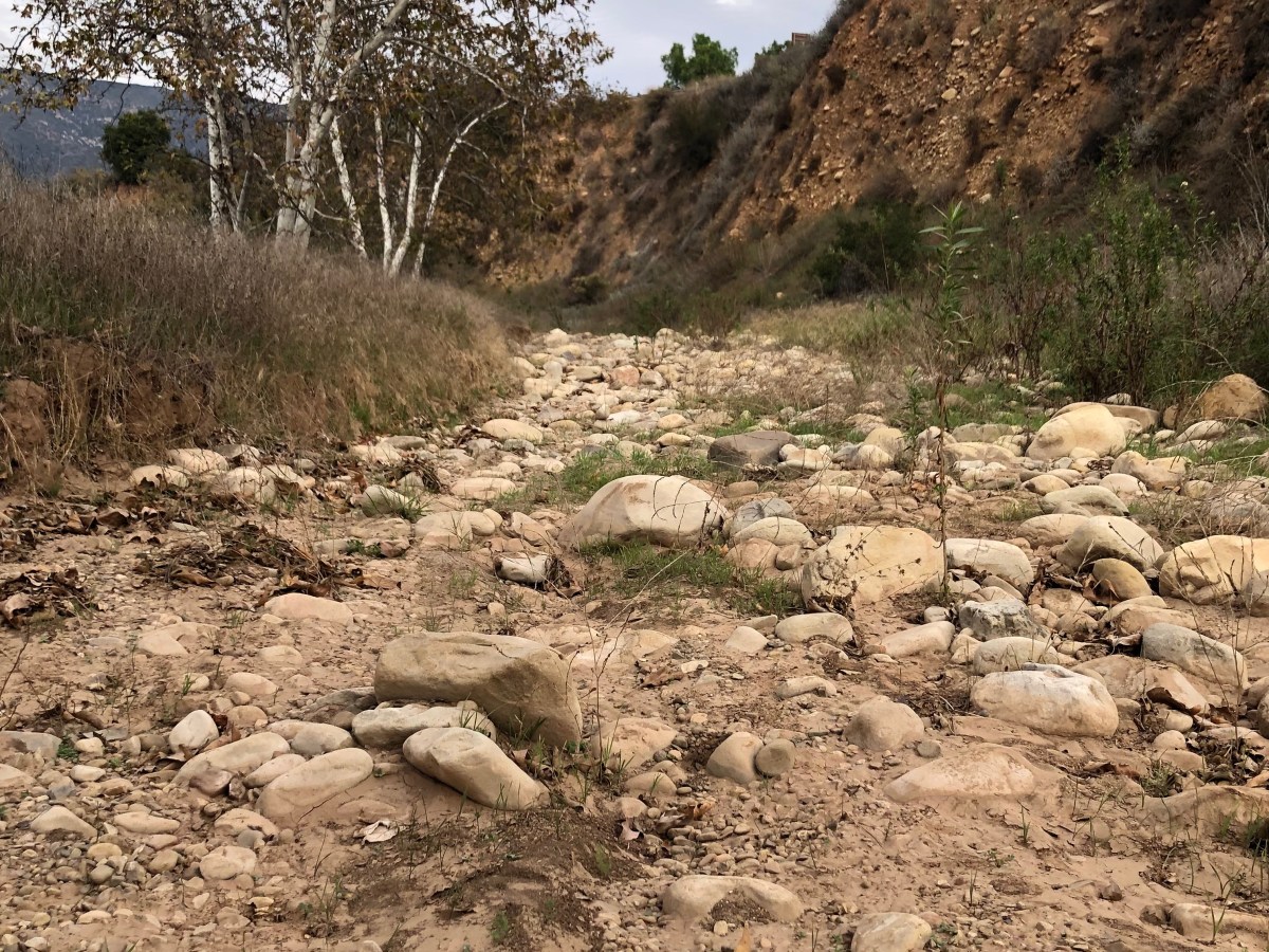 Snow Crone Moonsletter – Feb&nbsp;2026