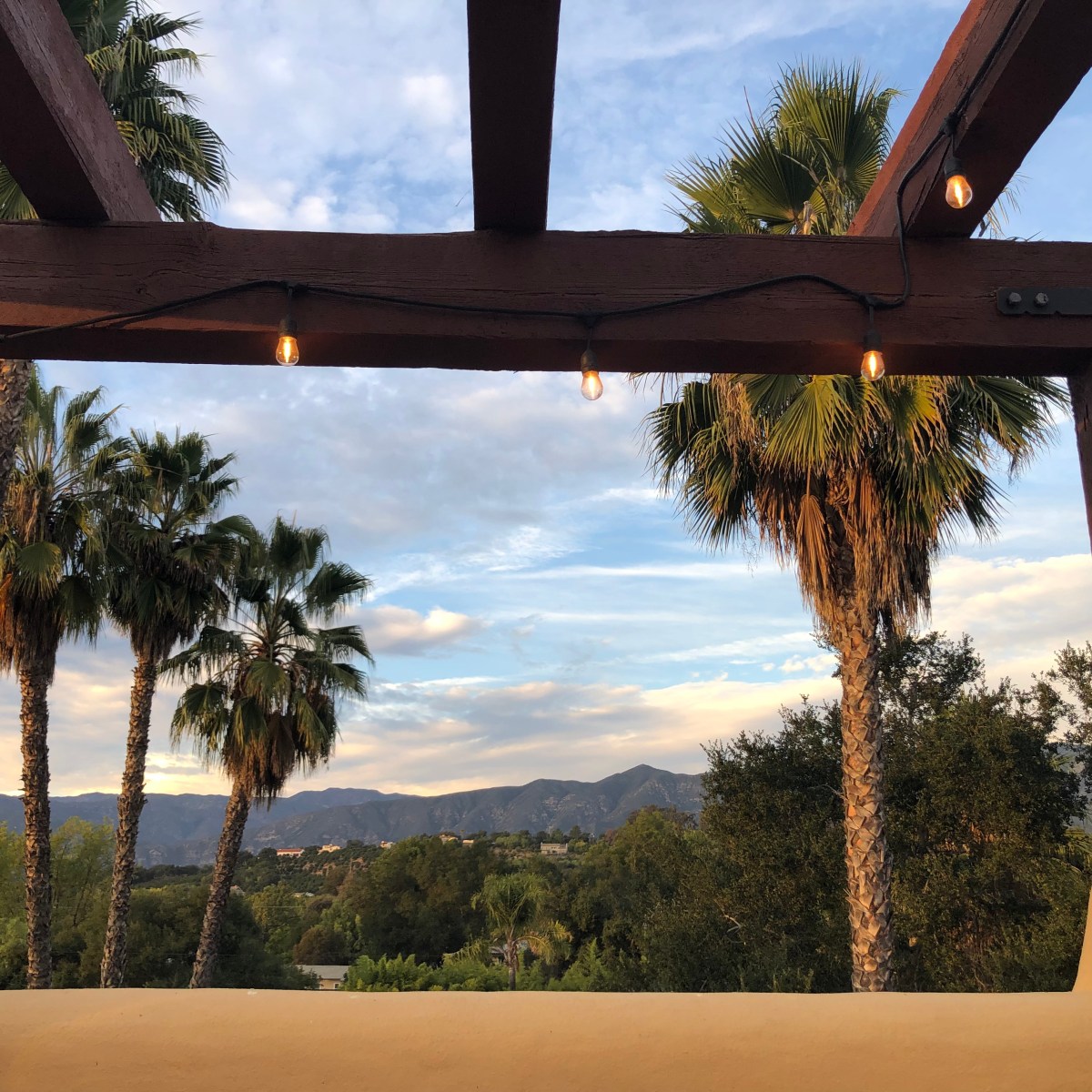 Weeks – February&nbsp;2026